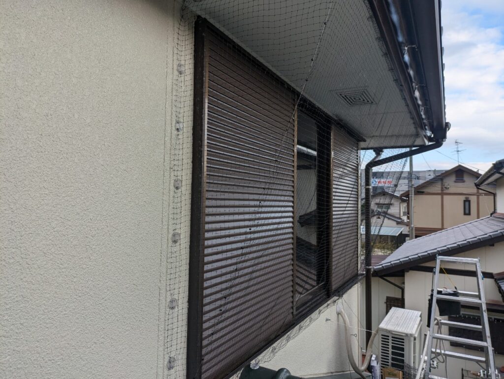 岩沼市でコウモリ駆除
