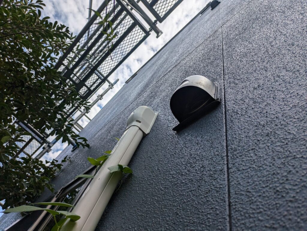 石巻市でコウモリ駆除