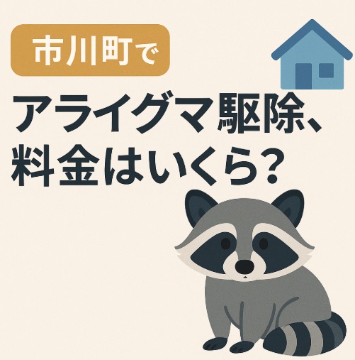 市川町　アライグマ駆除