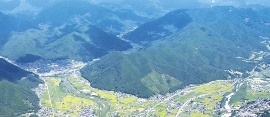 神河町　アライグマ駆除