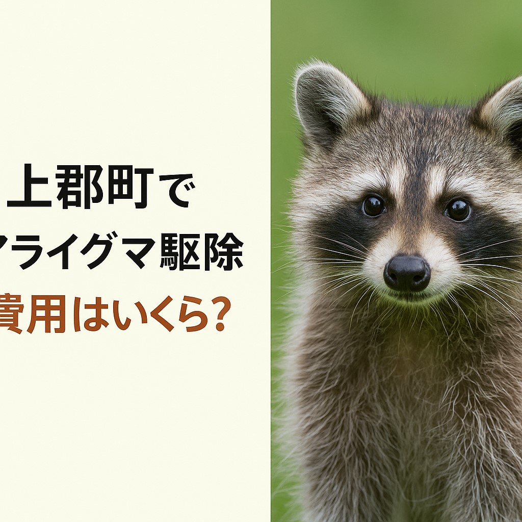 上郡町　アライグマ駆除