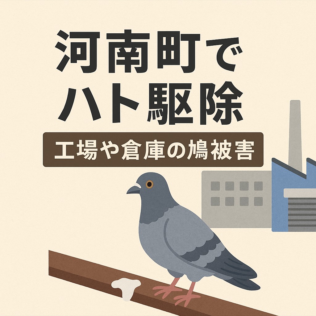 河南町でハト駆除