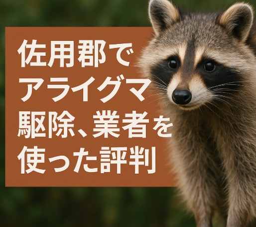 佐用郡　アライグマ駆除
