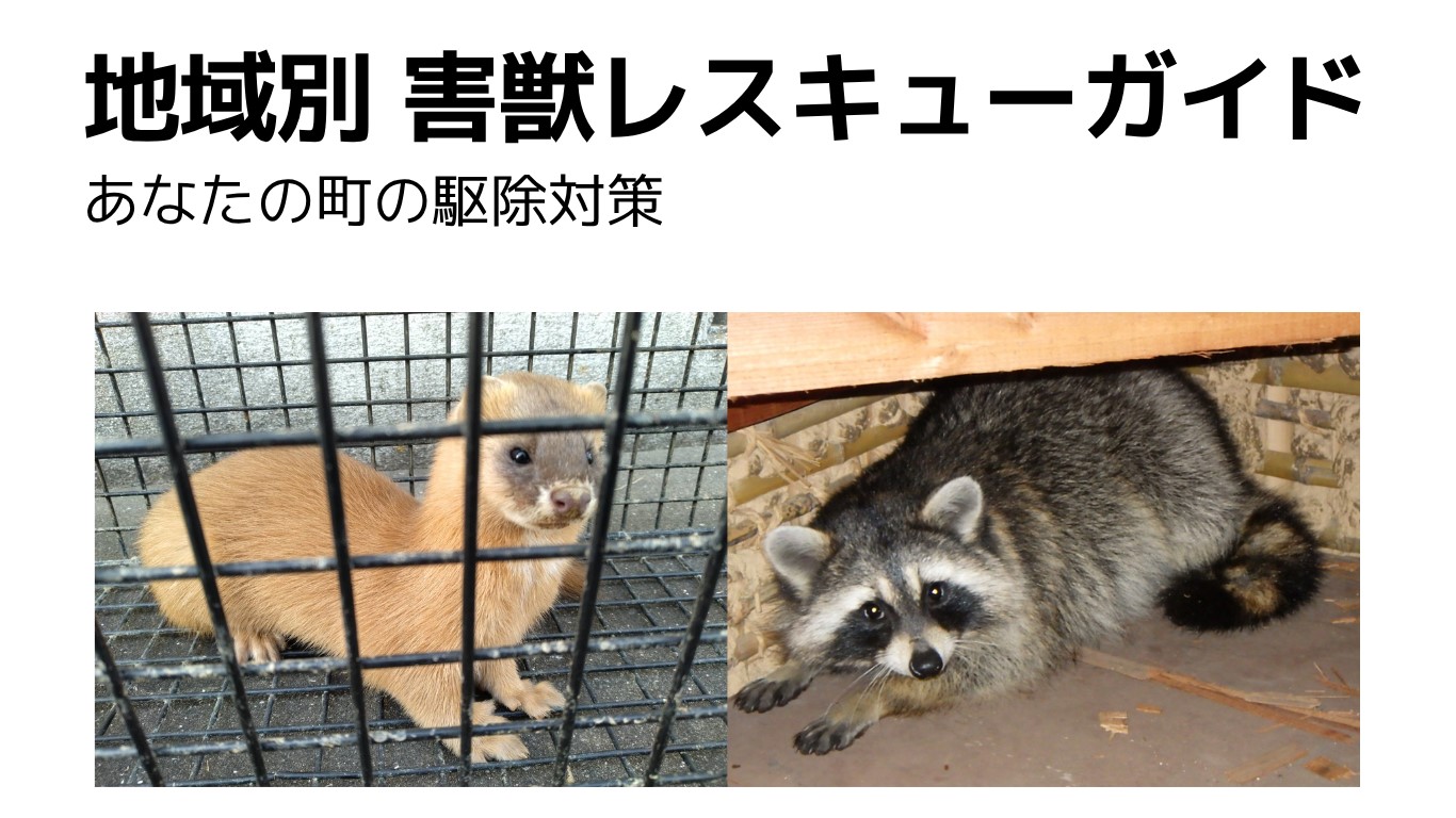 地域別 害獣レスキューガイド｜あなたの町の駆除対策