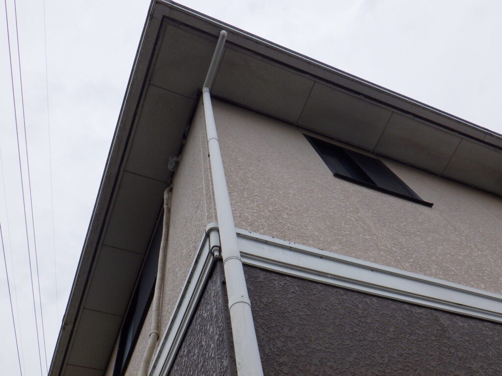 岩沼市でコウモリ駆除